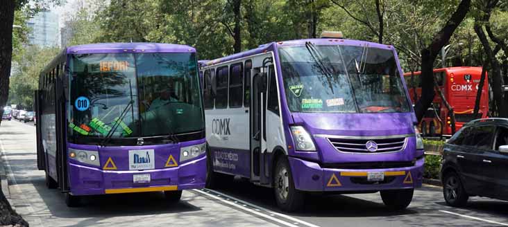 CDMX Purple Dina Linner 650697, Mercedes 650645 & MB Enviro500MMC 815